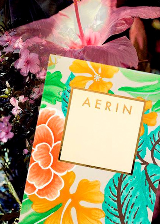 AERIN Hibiscus Palm